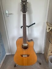 washburn acoustic guitar 12 string for sale  BROMSGROVE