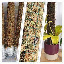 Sphagnum moss pole for sale  HITCHIN