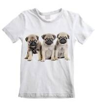 Pug puppies kids for sale  LANCASTER