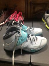 Nike lebron zoom for sale  Tampa
