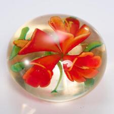 Clivia Miniata Bush Lily Orange Flower Art Glass Paperweight 3"dia for sale  Shipping to South Africa