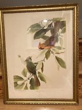 Magnolia time lithograph for sale  Conesus