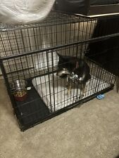 Dog crate great for sale  Fredericksburg