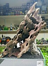 Dragon wood driftwood for sale  SCUNTHORPE