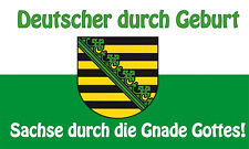 Fahne flagge sachsen gebraucht kaufen  Lünen-Nordlünen