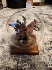 Vtg glass globe for sale  La Crosse