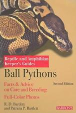 Ball pythons reptile for sale  UK