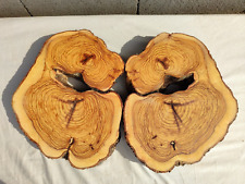 20" 52Cm Tureckie drewno oliwne burl ciasteczko okrągłe 200 lat stare Rawcut, płyta z drewna oliwnego, używany na sprzedaż  Wysyłka do Poland