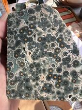 lapidary for sale  Middle Falls