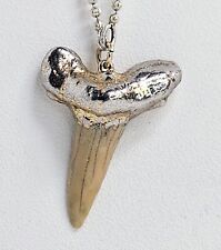 Vintage animal tooth for sale  Valparaiso