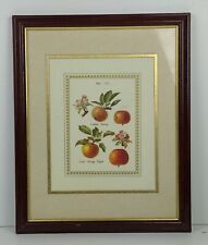 Framed fruit print for sale  Floyds Knobs