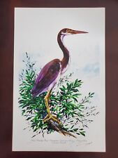 BARRY BARNETT "ONE STANDUP GUY" IMMATURE LOUISIANA HERON SIGNED AND NUMBERED, used for sale  Canada