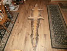 Genuine alligator tanned for sale  Hegins