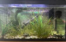 Tropical fish tank for sale  WAKEFIELD