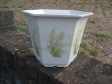 ROYAL  WINTON  FERN  DECORATED  HEXAGONAL PLANT HOLDER - 12cm, used for sale  CARDIFF
