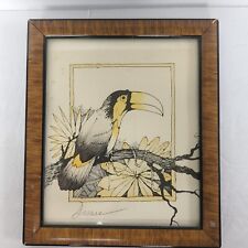 Toucan tropical bird for sale  Norman