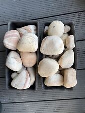 Decorative stones pebbles for sale  LONDON