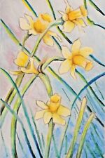 Art original daffodils for sale  Dudley