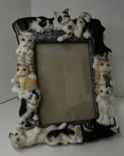 Cat picture frame for sale  Tucson