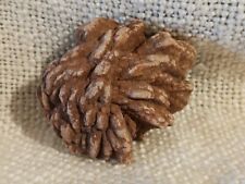 Barite desert rose for sale  Chatsworth