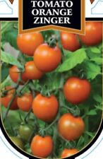 Orange zinger tomato for sale  Dayton