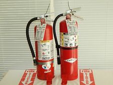 Fire extinguisher 10lb for sale  Burgaw