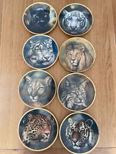 big cat plates for sale  SPALDING