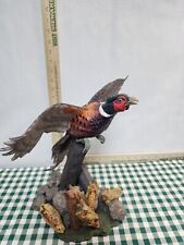 Ring neck pheasant for sale  Portsmouth