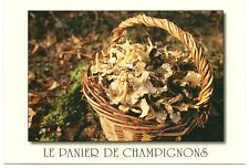 Panier champignons cesto usato  San Teodoro