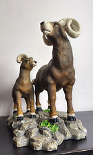 North american bighorn for sale  Farmington