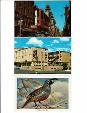 Lote de 3 cartas de California, San Francisco Chinatown & Motel, estado Pájaro codorniz! segunda mano  Embacar hacia Spain