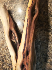 Driftwood piece reptile for sale  Wichita