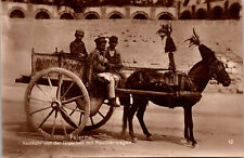 Palermo wagon pony for sale  Massillon