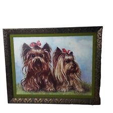 Framed yorkshire terriers for sale  Show Low