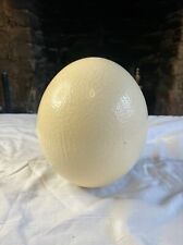 Real ostrich egg for sale  LONDON