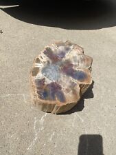 Petrified wood stump for sale  Green Valley