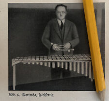 Xylophon xylofon marimba gebraucht kaufen  Kirchberg