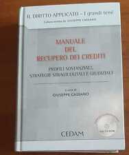 Manuale del recupero usato  Italia