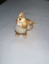 Tabby cat kitten for sale  Wilmington