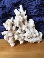 coral reef for sale  SKIPTON