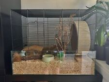 Nagarium kleintier hamster gebraucht kaufen  München