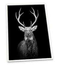 Stag antlers head for sale  UK