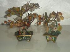 Vintage due piante usato  Ragalna