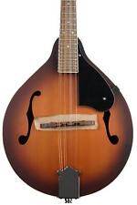 Fender 180e mandolin for sale  Fort Wayne