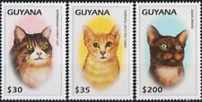 Guyana 1997 gatti usato  Trambileno
