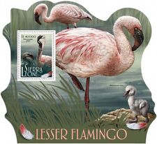 Lesser flamingo value for sale  PONTYPRIDD
