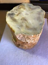 Stump petrified wood for sale  Arlington