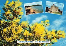 Noirmoutier ile mimosa d'occasion  France