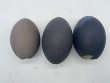 Emu eggs lot for sale  Hoboken