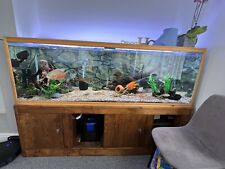 6x2x2ft fish tank for sale  DONCASTER